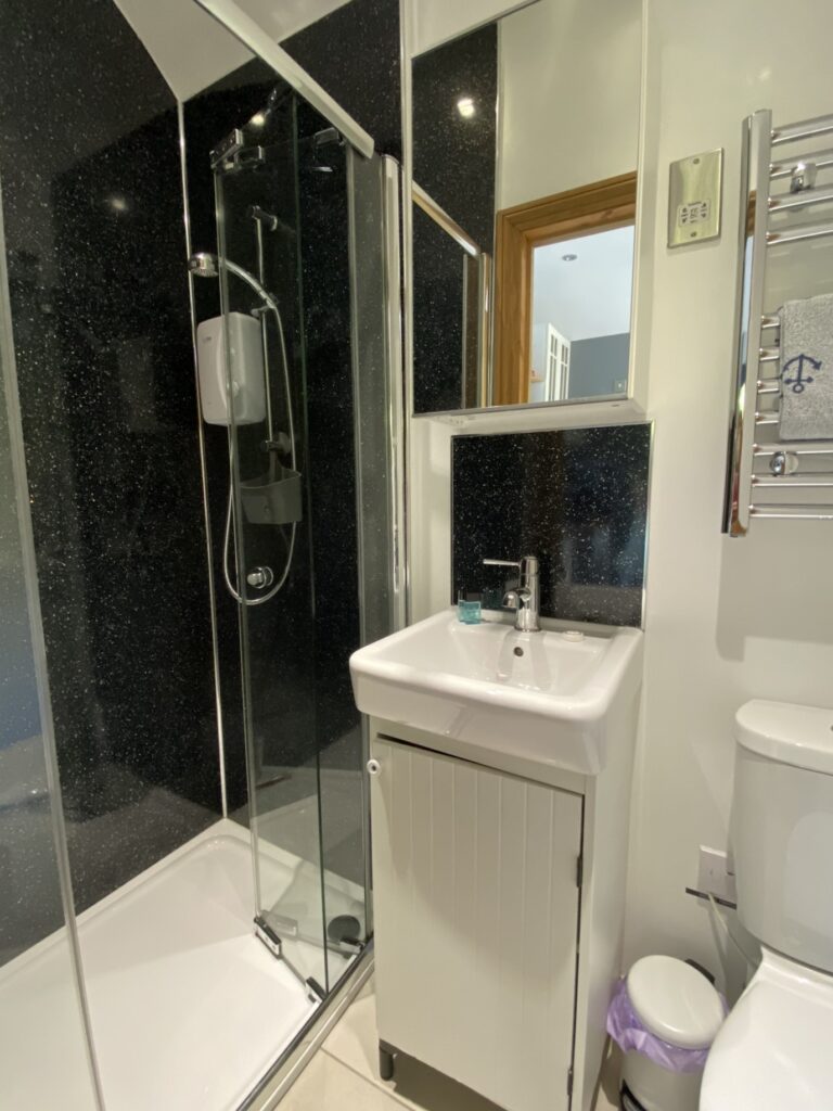 Walk in shower, WC, Handbasin